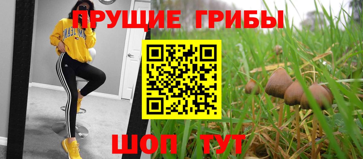 Ковров  купить наркотики цена  Вход с VPN  Псилоцибиновые грибы мухоморы 