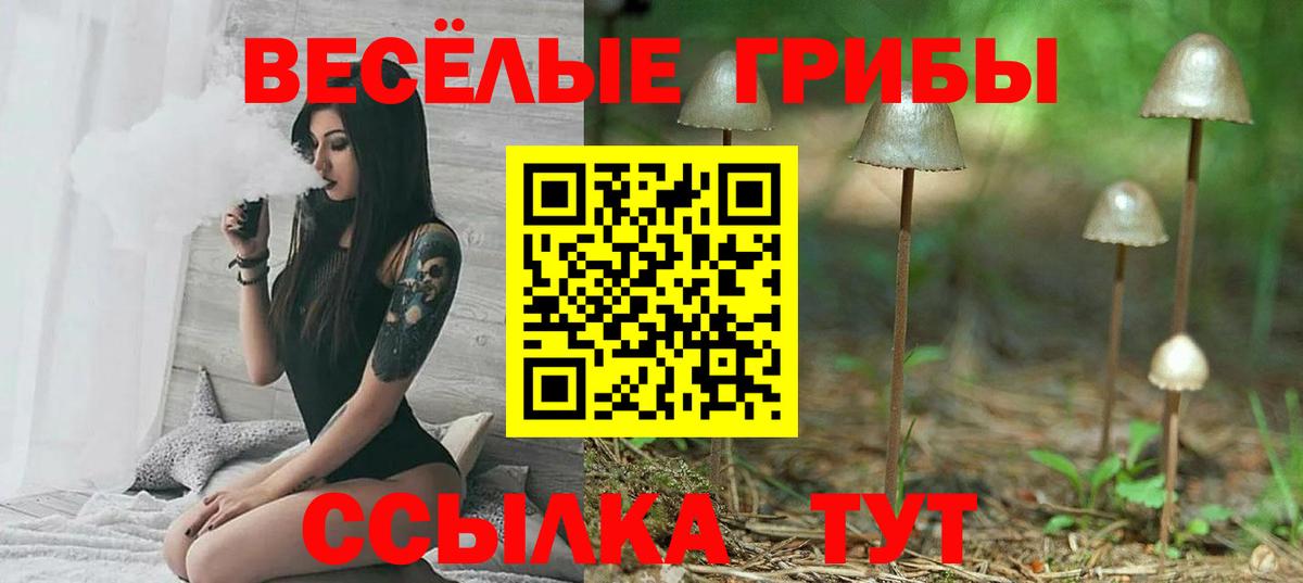 Галлюциногенные грибы ЛСД Ковров